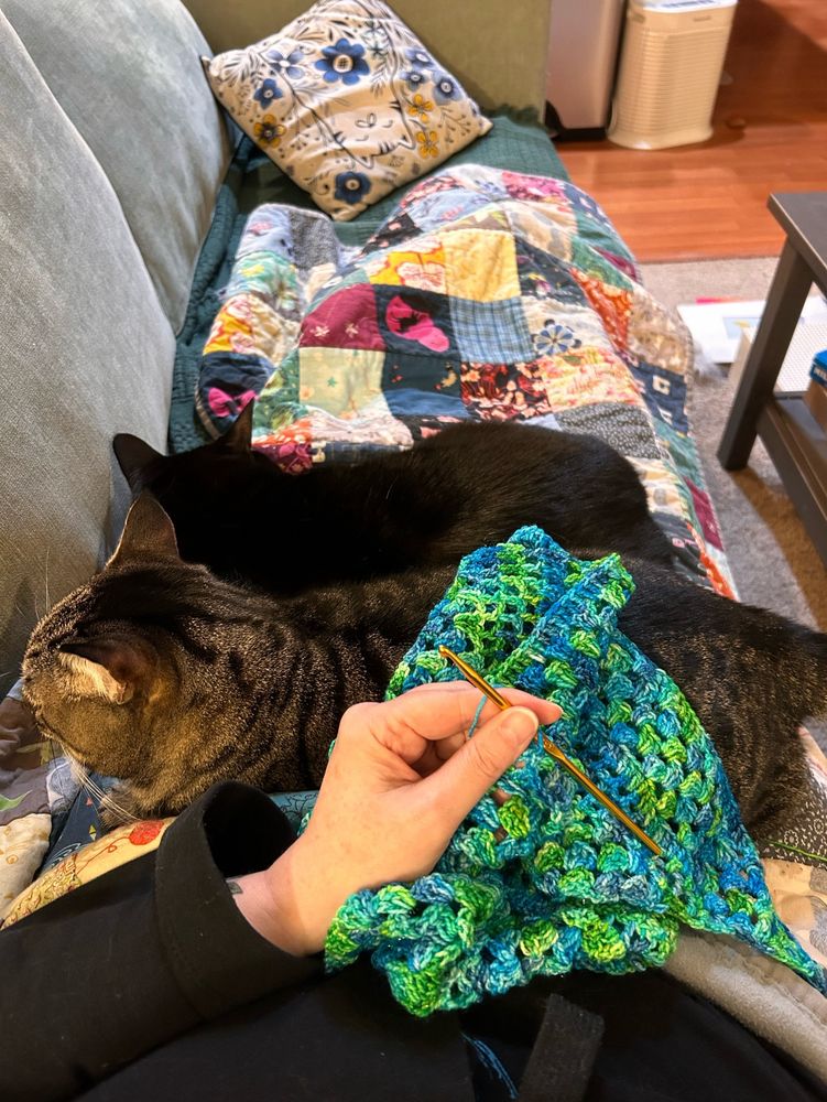 Two cats sleeping on patchwork quilt while my hand holds blue/green yarn crocheted shawl