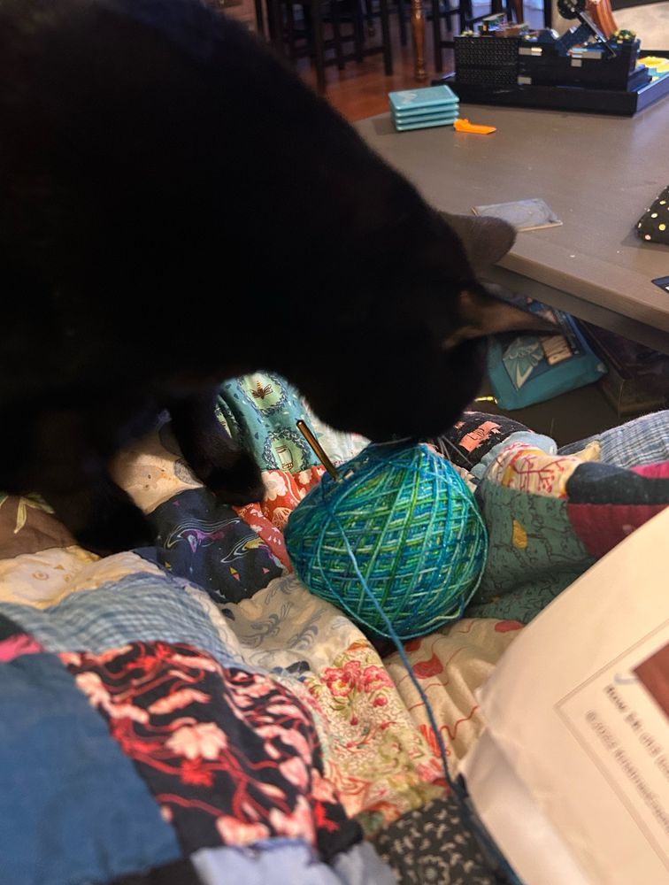 Black cat sniffs a ball of blue/green yarn