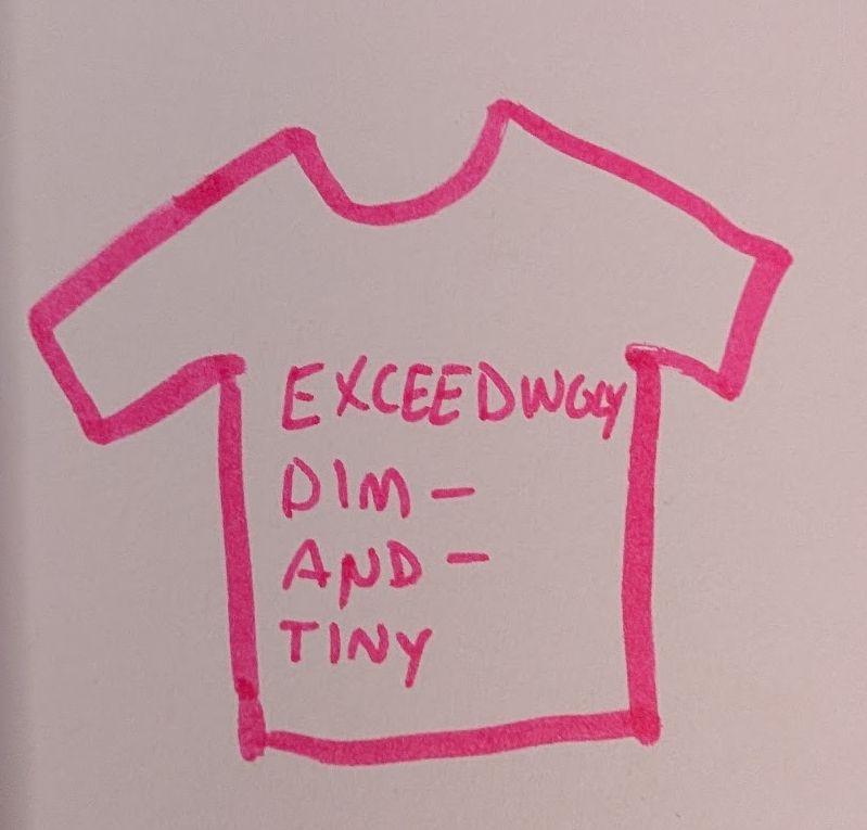 quickly scribbled t shirt which says "Exceedingly Dim-and-Tiny"