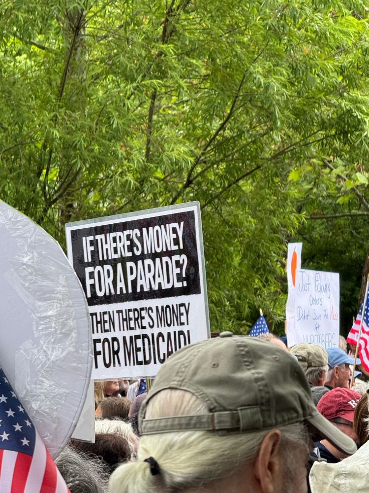 Crowded park full of protestors and sign reading “if there’s money for a parade, there’s money for Medicaid!”