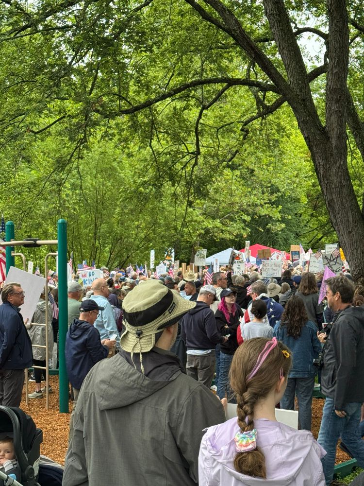 Crowded park full of protestors