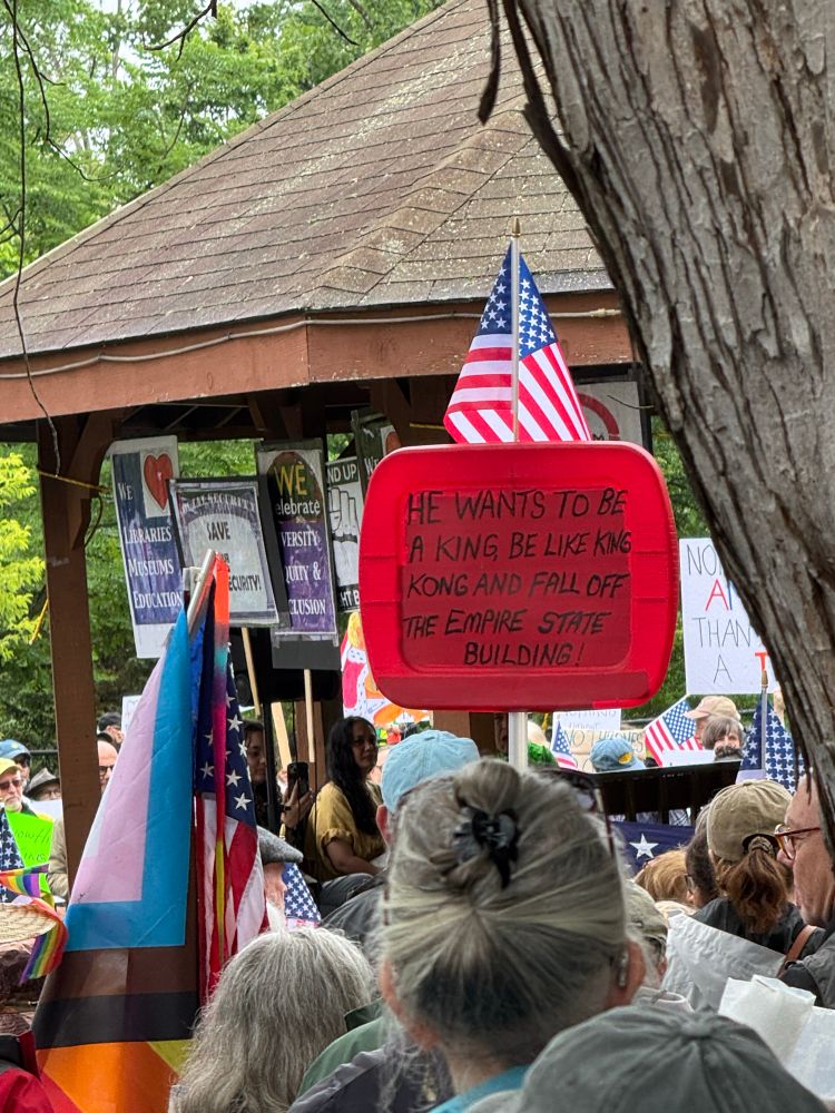 Sign reading “he wants to be king be like King Kong and fall off the Empire State Building” 