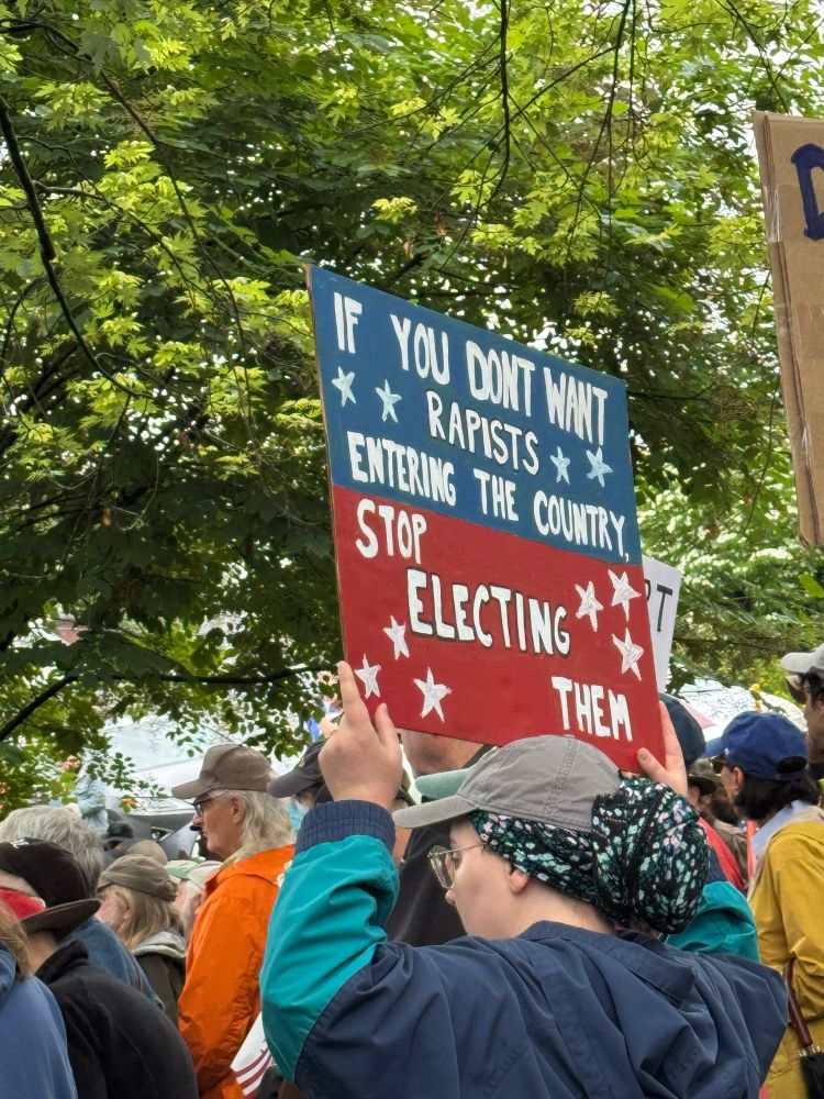 Crowded park full of protestors and sign reading “if you don’t want rapists entering the country, stop electing them”