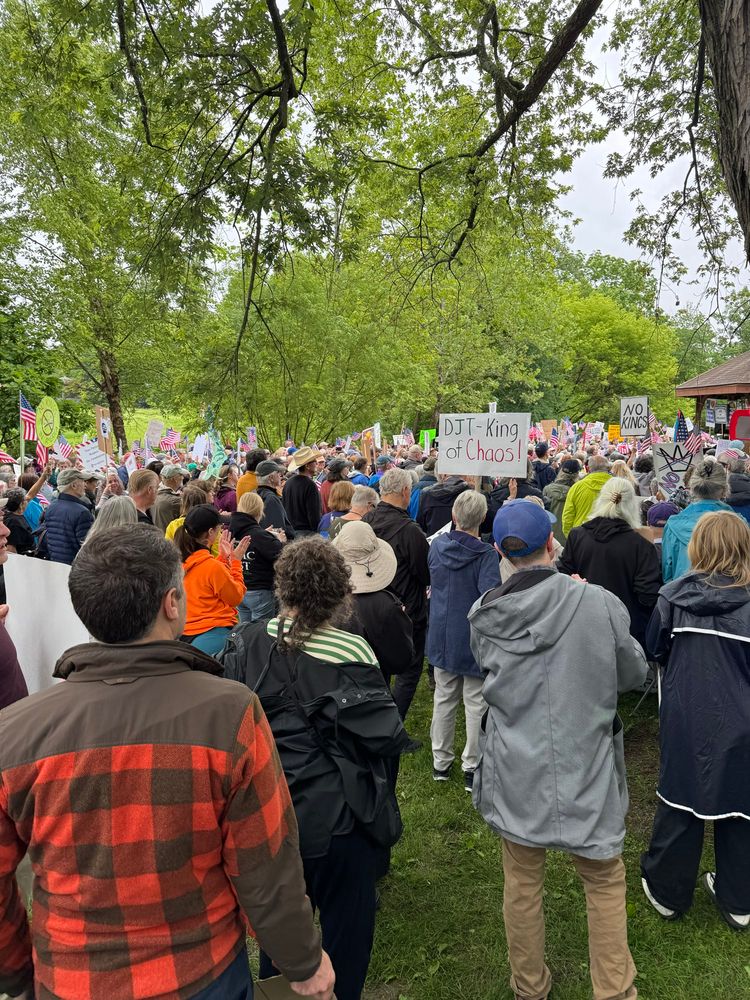 Crowded park full of protestors