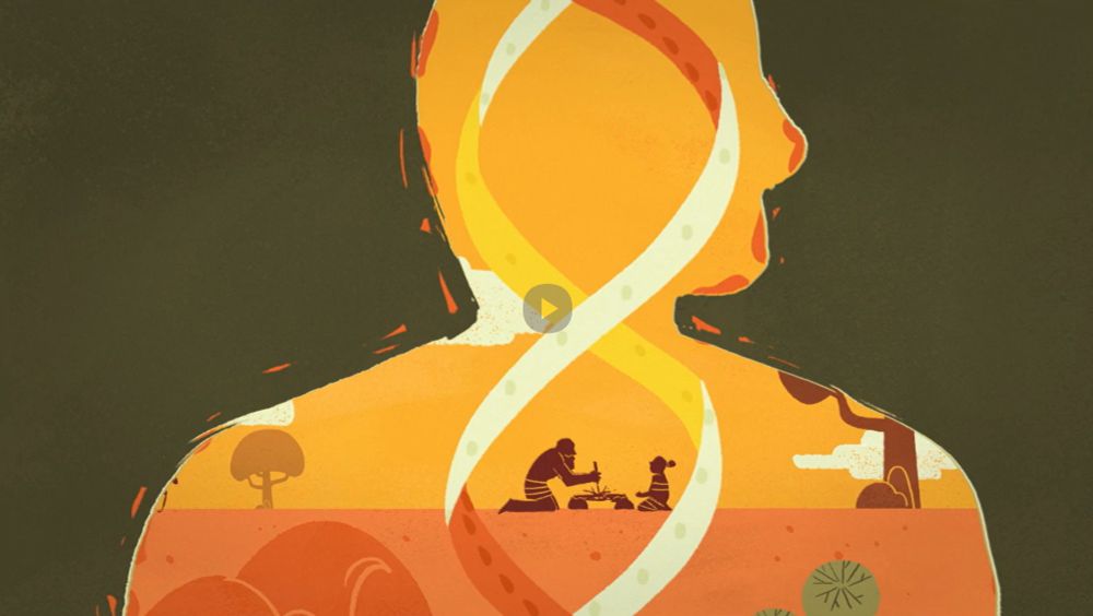 Our body has a story, written in our DNA.