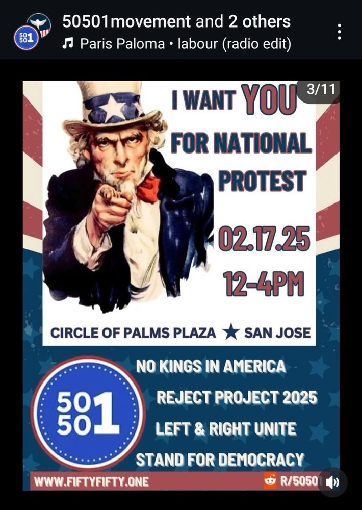 No Kings Protest Poster