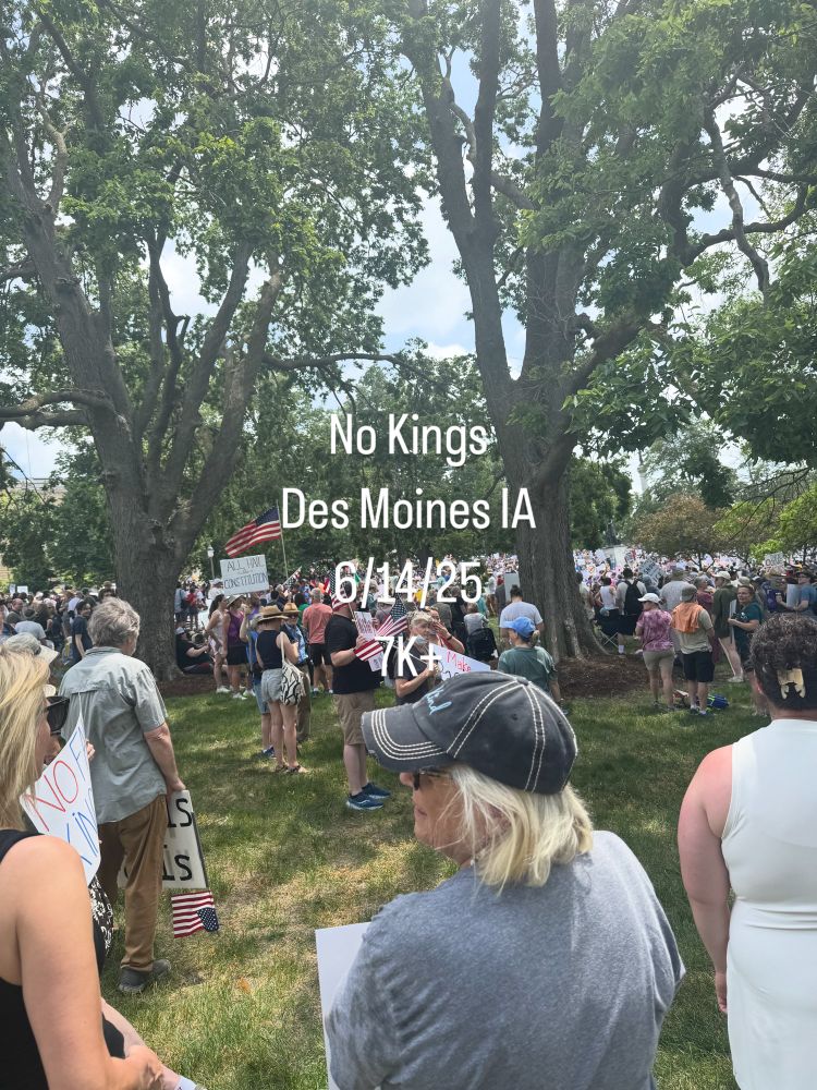 Picture of protesters at No Kings In Des Moines IA