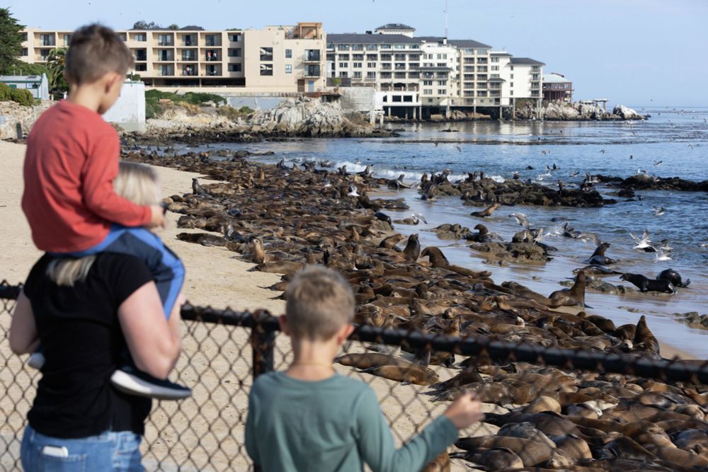 A beach off Monterey’s Cannery Row is closed indefinitely.