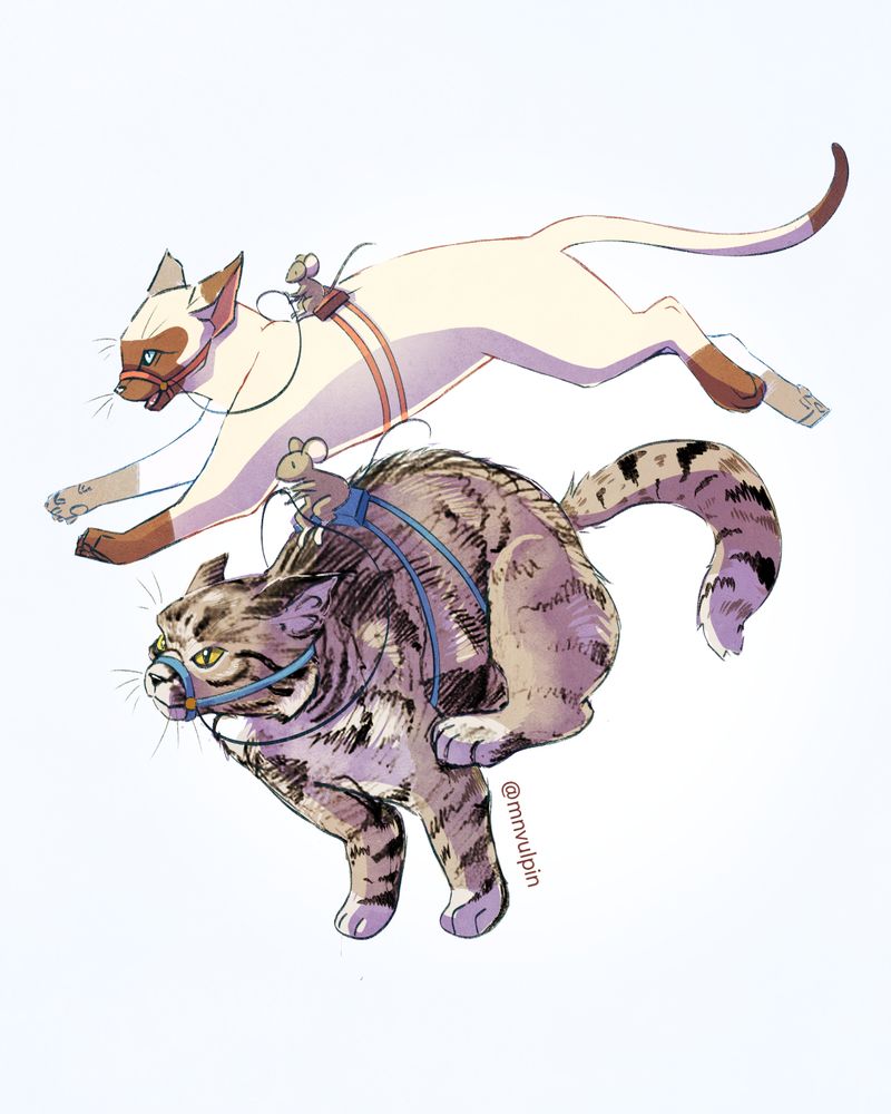 A Siamese cat and a gray tabby cat are running with a mouse on their backs like riders. Digital drawing, the background is white.
