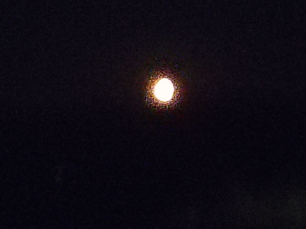 The moon is back to its normal shape in this one, still speckles of light coming from it. The moon is so yellow tonight.