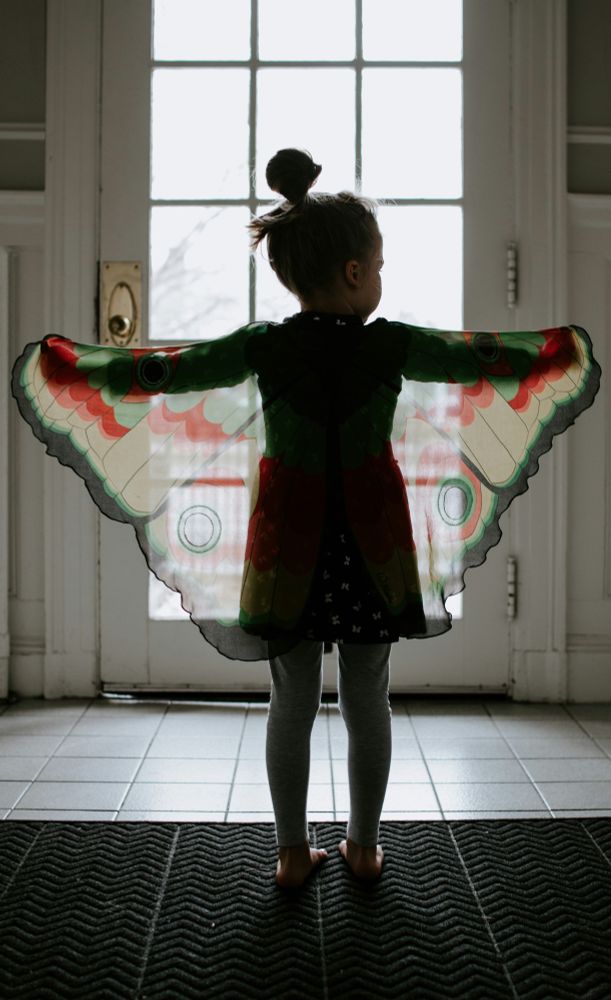 Little girl holding out butterfly wing costume
