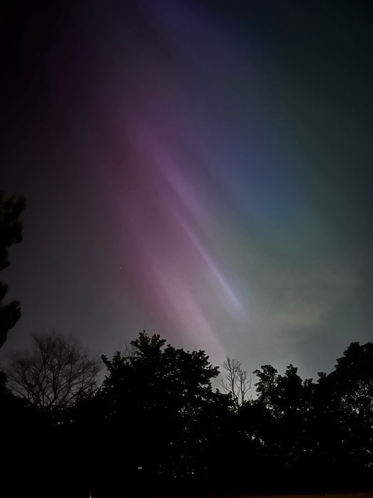Diagonal light streams of purples and green, with silhouette of trees below