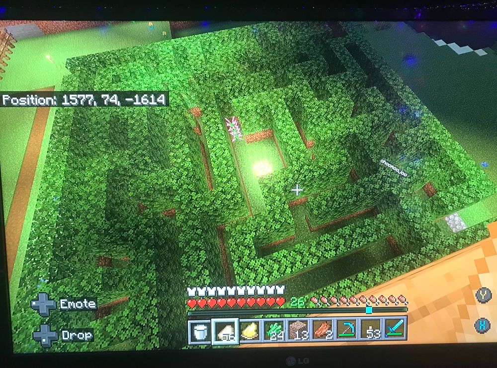 A Minecraft hedge maze 
