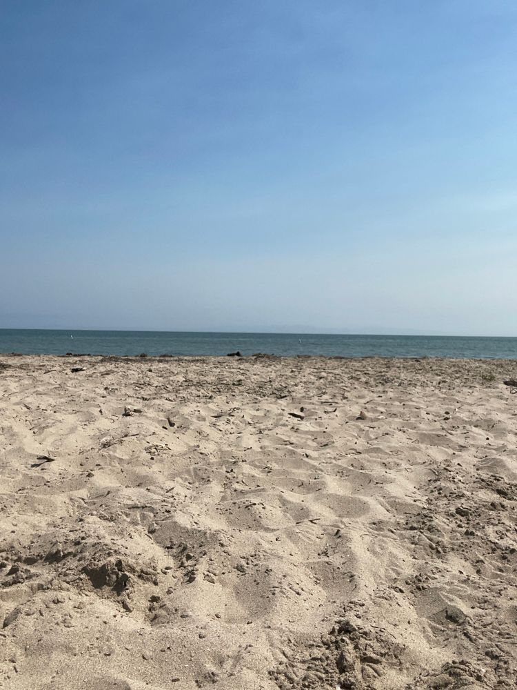 A sandy beach and ocean