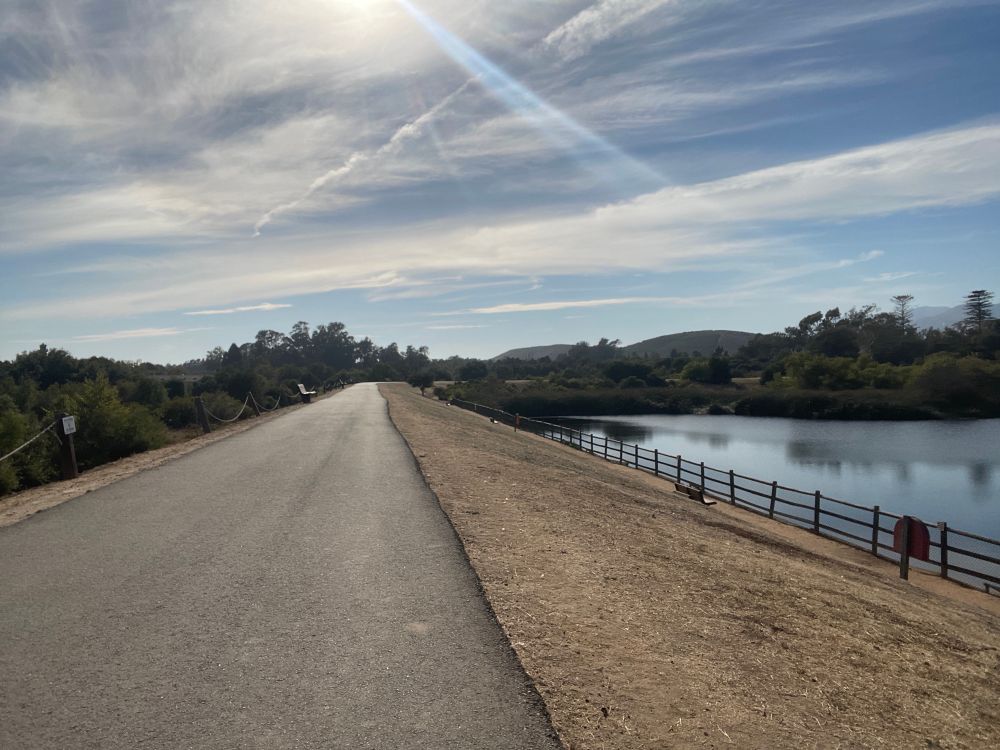 Paved path along ponds edge 