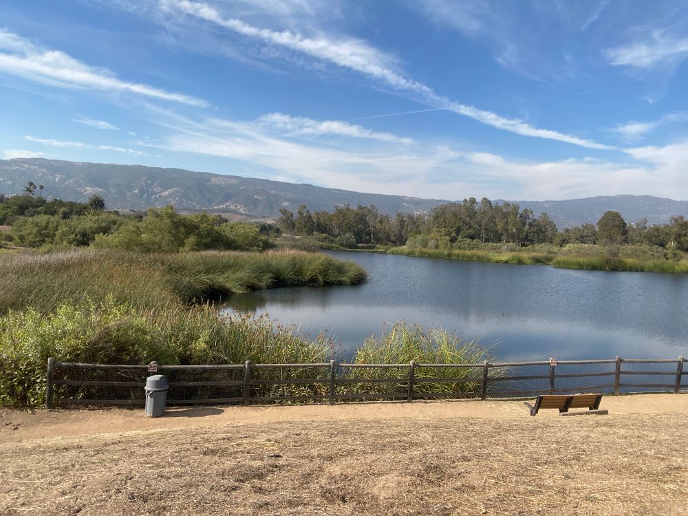The local pond 