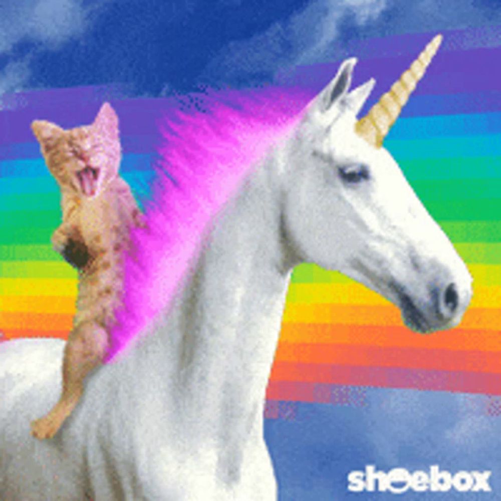 a cat riding on the back of a white unicorn