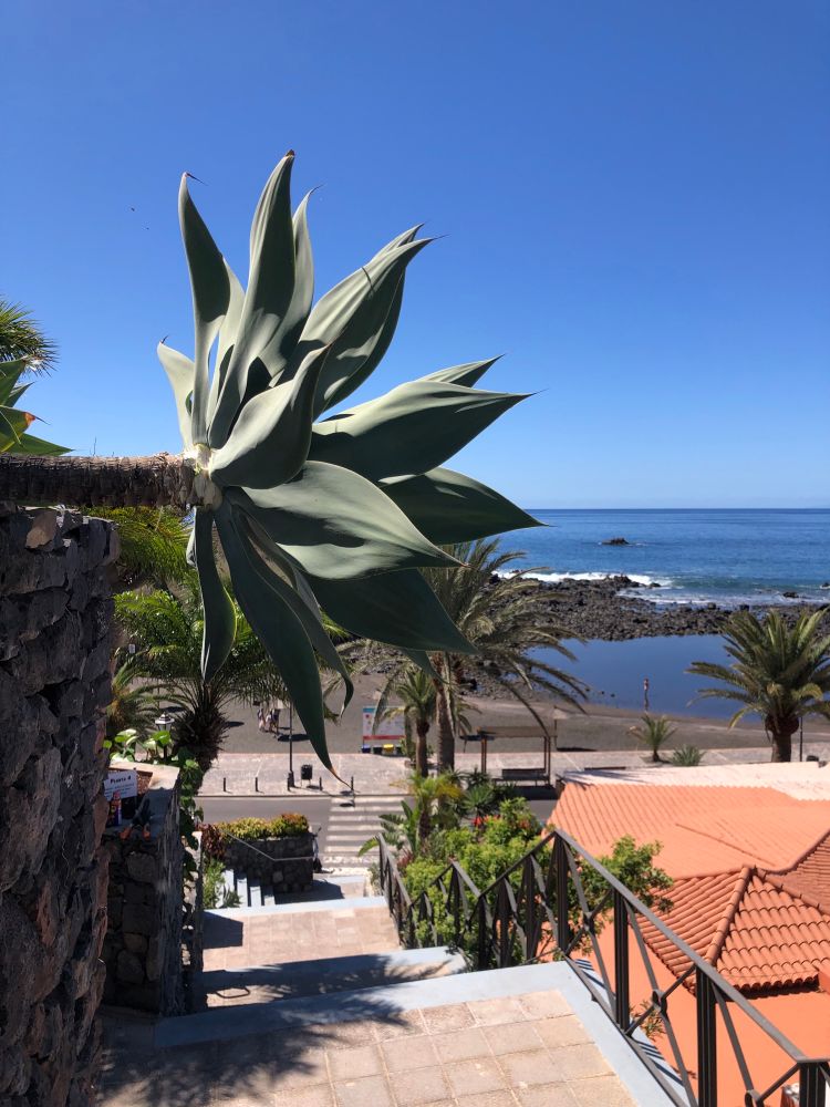 Charco del Conde Beach at low tide 