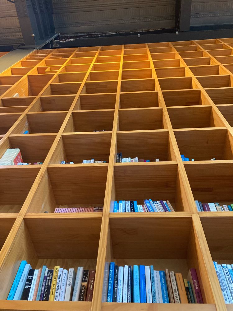 Tall bookshelves towering over me!