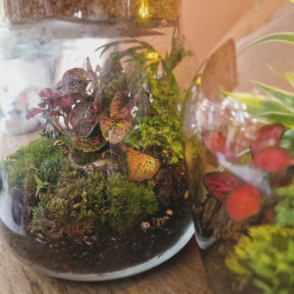 A close up shot of a terrarium containing green moss, pink and red plants, and tiny dinosaur figurines