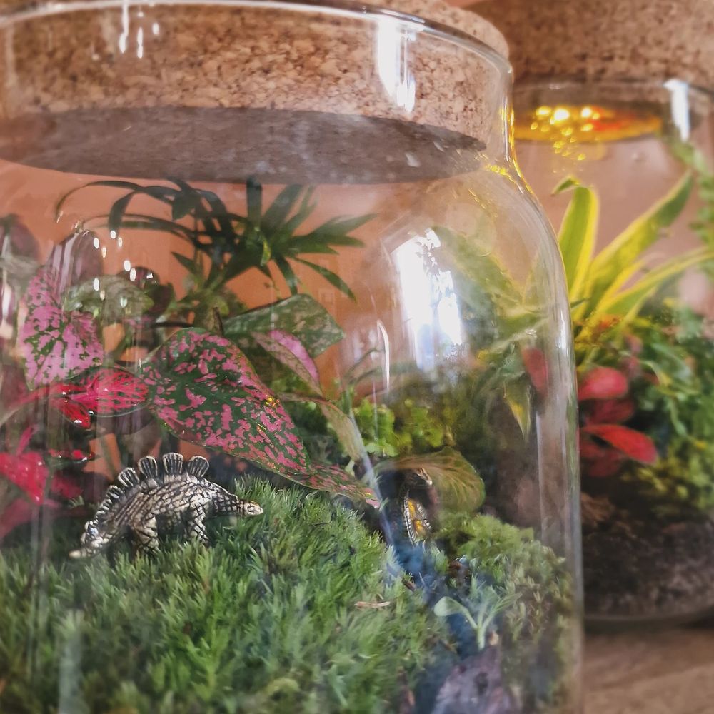A close up shot of a terrarium containing green moss, pink and red plants, and tiny dinosaur figurines