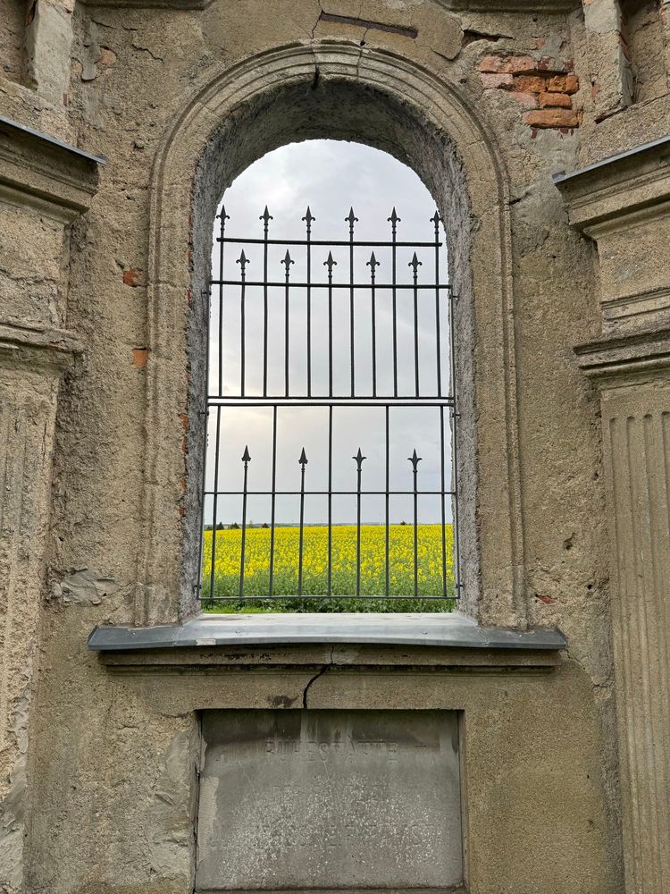 Photo of a cemetery wall window with a field behind it.