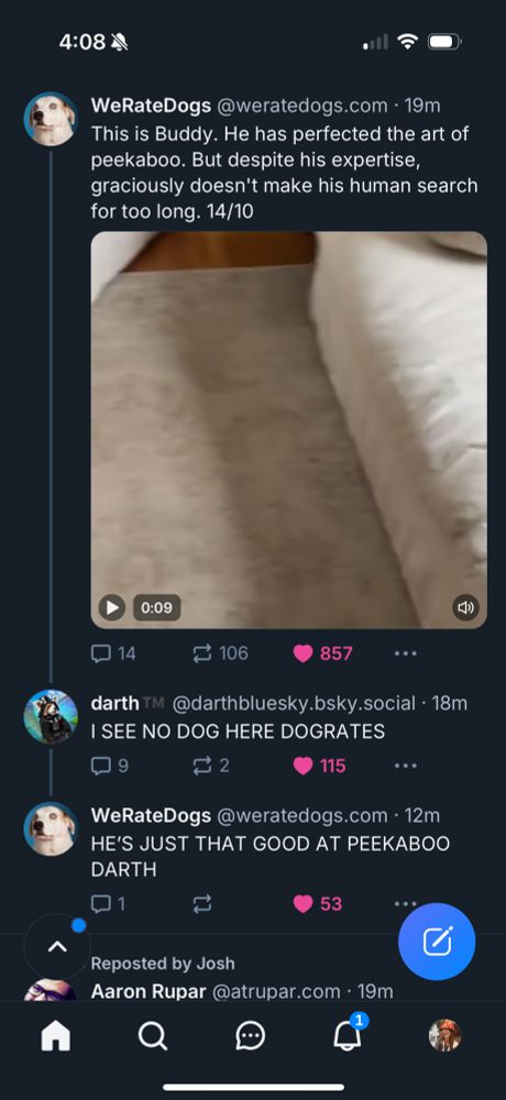 A screenshot of an exchange between the Bluesky accounts for Dogrates and Darth. Dogrates posted an excellent video of a pupper playing peekaboo. The post text says, “This is Buddy. He has perfected the art of peekaboo. But despite his expertise, graciously doesn't make his human search for too long. 14/10.” 
Darth responded, “I SEE NO DOG HERE DOGRATES” to which Dogrates replied, “HE'S JUST THAT GOOD AT PEEKABOO
DARTH”