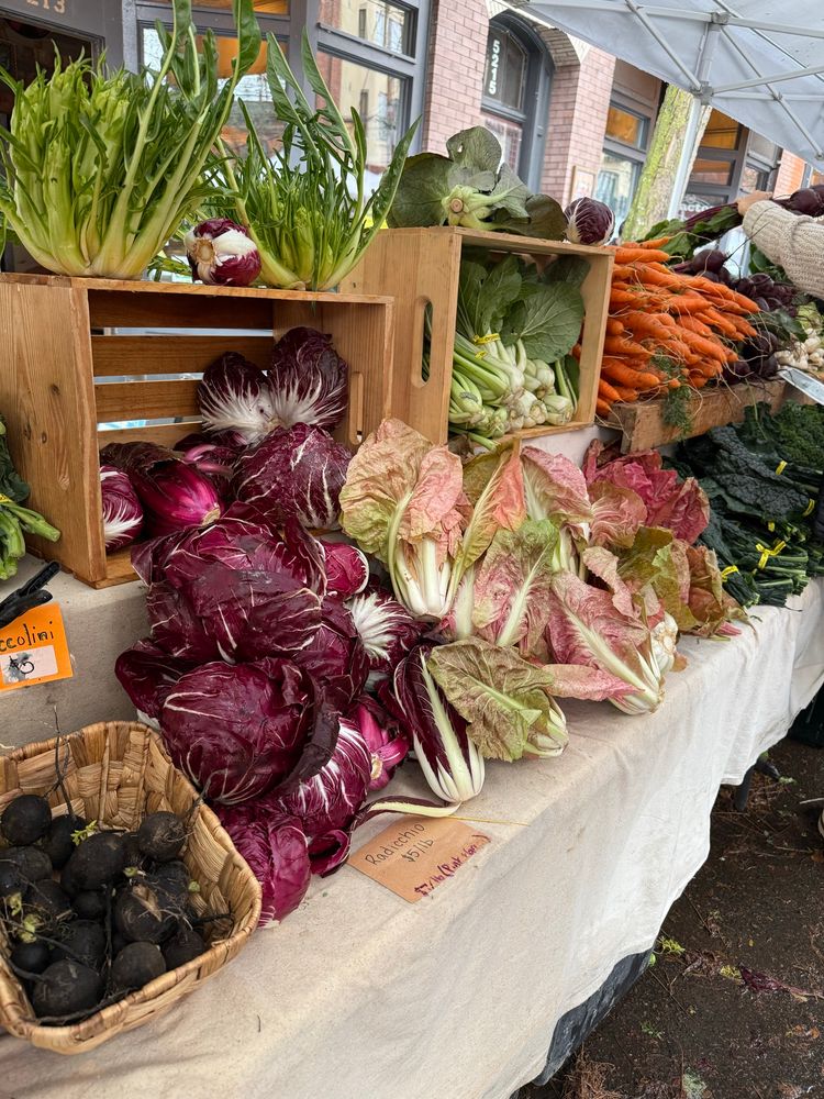 A farmers market table with black radishes, an incredible assortment of radicchios in maroon, spiky green, pale pink to mauve, and green mustards. Also bright orange carrots, maroon beets, and deep green tuscan kale. 