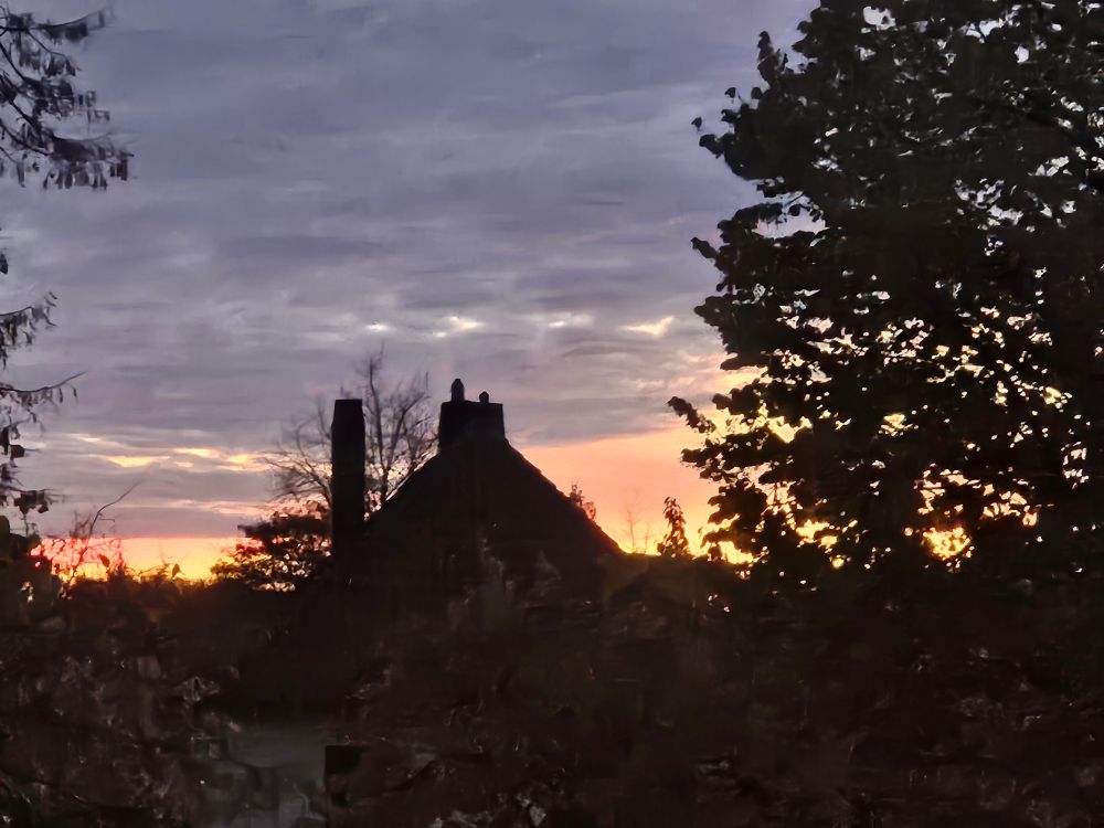 Sonnenaufgang zwischen Bäumen und Haus