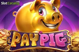 an image of a golden pig. it is named "paypig".