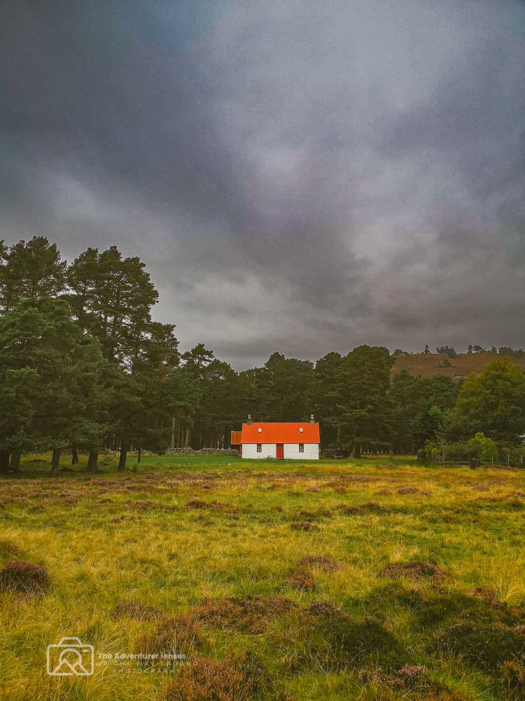 A lonely white cottage with a  red tin roof sits in the Cairngorms near Braemar. Heather and wild grass grow thick in front, with dense woodland rising behind it.