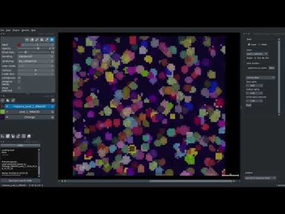 CellSeg3D Demo on Mouse Brain Tissue