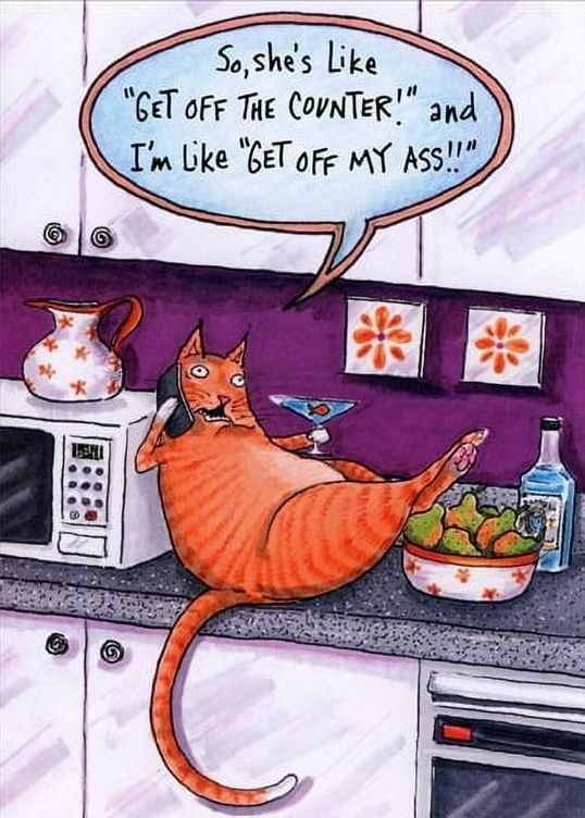 Cartoon of an orange cat lounging on a kitchen counter with a cocktail in its paw and a phone to its ear. Caption: So, she's like "Get off the counter!" and I'm like "Get off my ass!!"