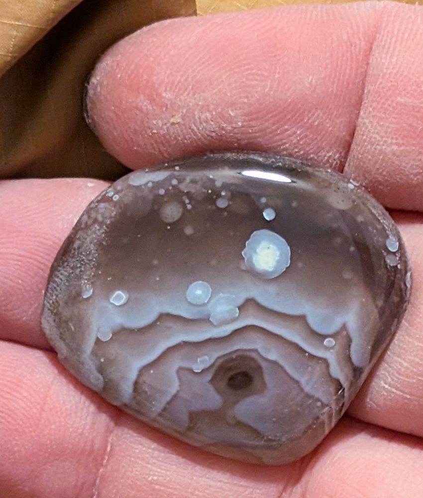 A hand holding a slice of Botswana agate. It is purplish gray and white. There are a few white spots and white and gray wavy bands radiating from the bottom