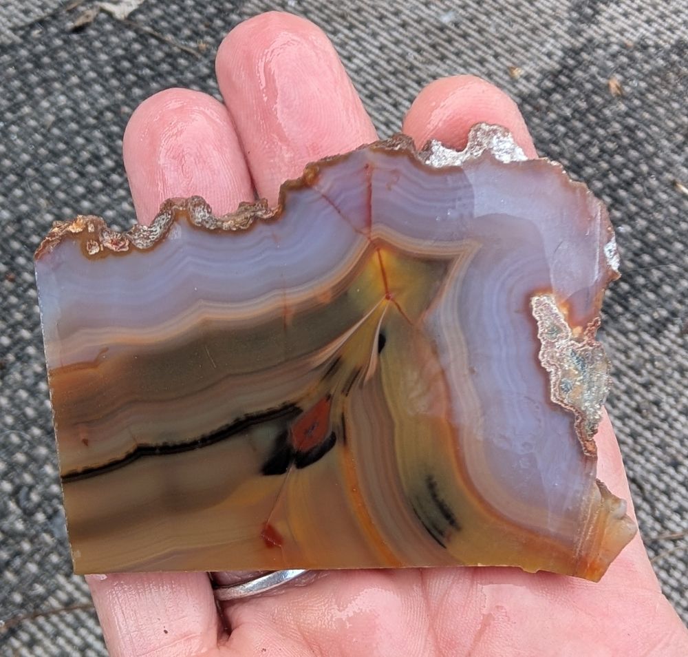 Gray, Brown, red and gold agate slab