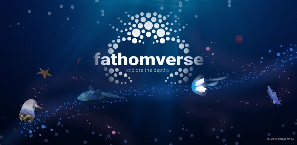 The FathomVerse crab logo in an underwater world with squids, sea stars, chimaeras, and other life. Beneath the FathomVerse logo is the subtitle "Explore the Depths."