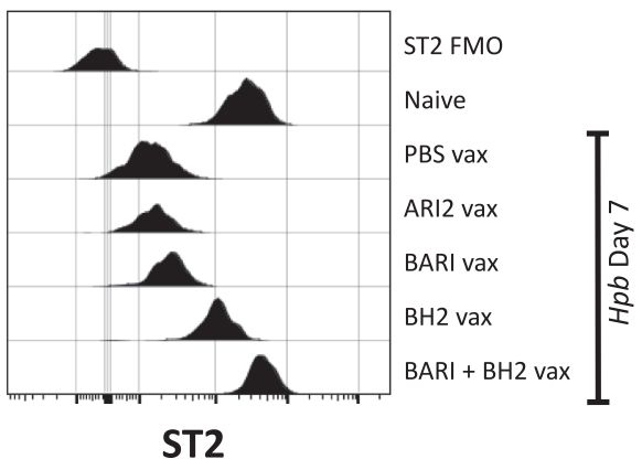 Flow cytometry plot showing ST2 suppression during Hpb infection, and reversal of suppression only when HpBARI+HpBARI_Hom2 were vaccinated in a cocktail