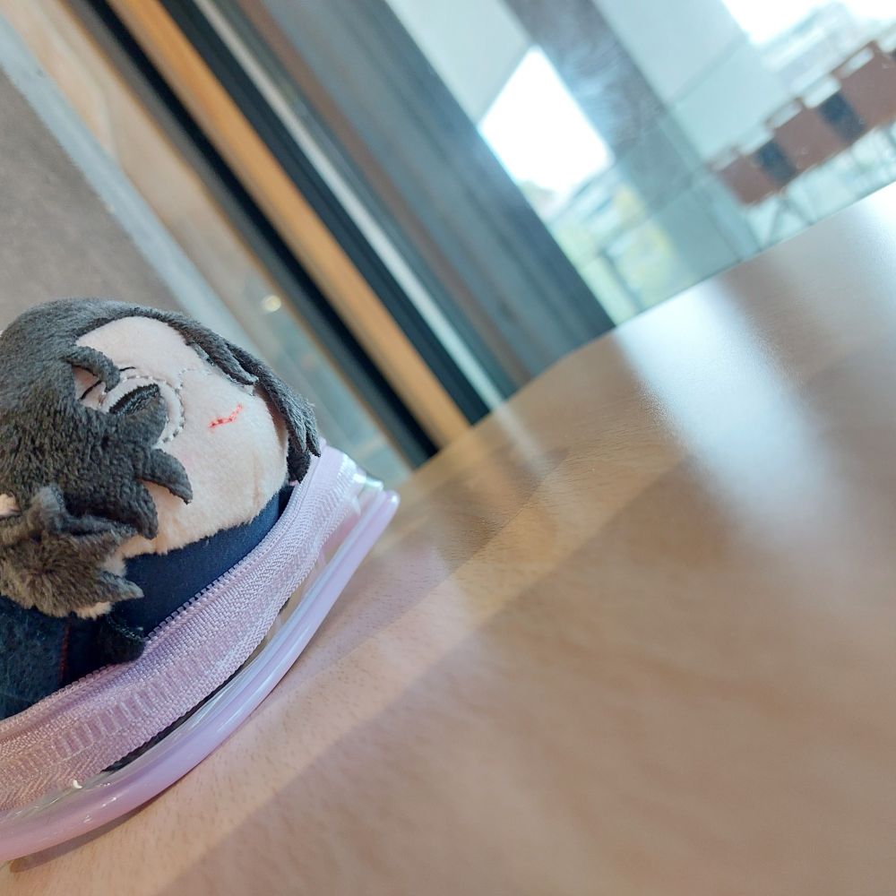 お外を見るおもちの先生