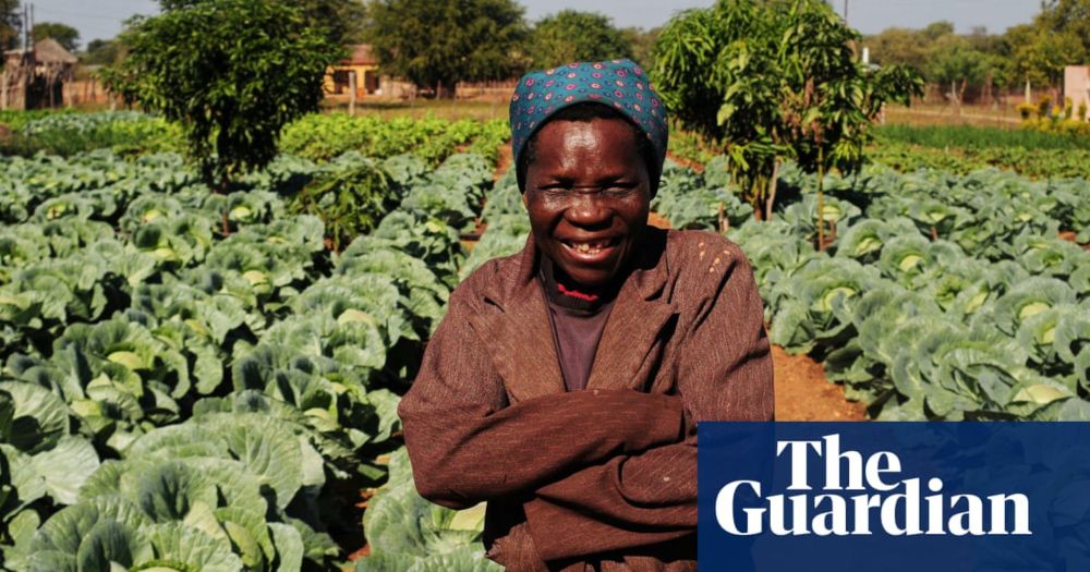 Africa’s small-scale revolution against big agriculture: five farmers talk greener, better food