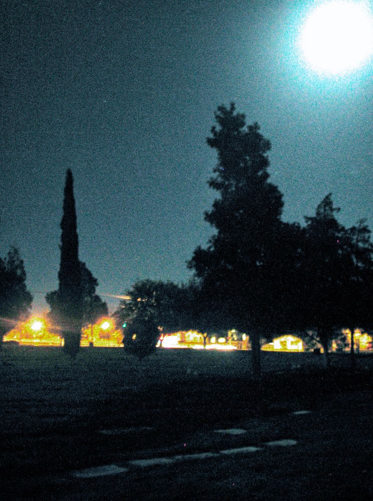 Midnight Grave. #moon #midnight #graveyard #grass #trees #glow #light
