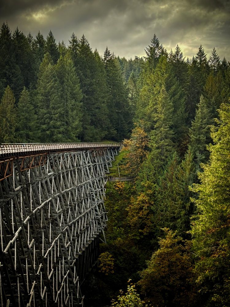 A tall trestle bridge disappearing between tall ancient evergreen trees beneath a turbulent sky