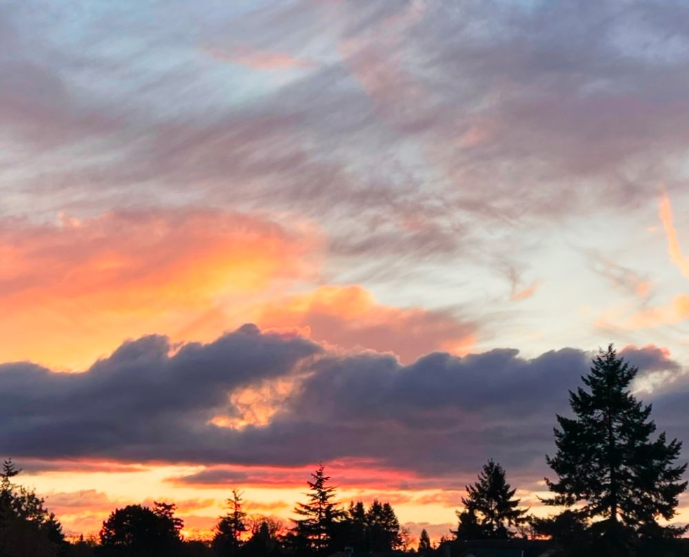 A dramatic sunset over silhouetted trees. Colour are orange, yellow, pink, purple with a light blue sky above.