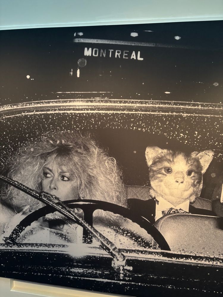A photo from the 2025 Montreal Street Photography exhibition at the McCord Stewart Museum depicting a woman with wild hair sat behind the wheel of a car. Next to her appears to be a cat wearing a suit.