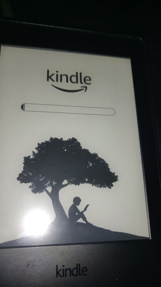 Der Kindle zeigt den Standard-Startbildschirm mit dem Kindle-Logo, einem Ladebalken und dem bekannten Bild eines Kindes unter einem Baum, das ein Buch oder Kindle liest.