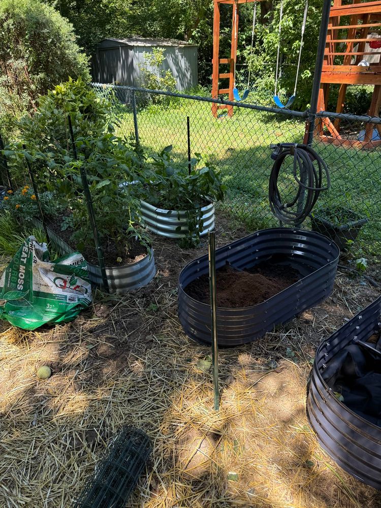Garden with four raised beds 