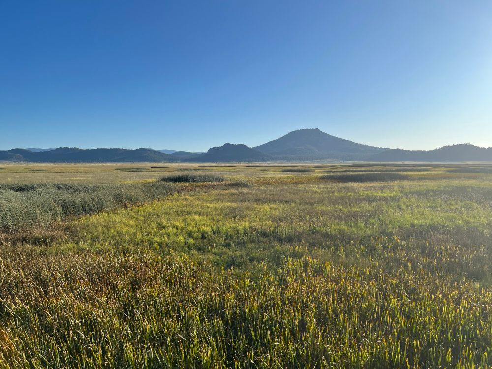 Looking West from a viewing platform in the Sierra Valley Preserve. Headwaters of the Feather River.