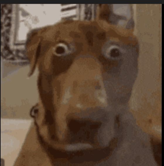 Comment image