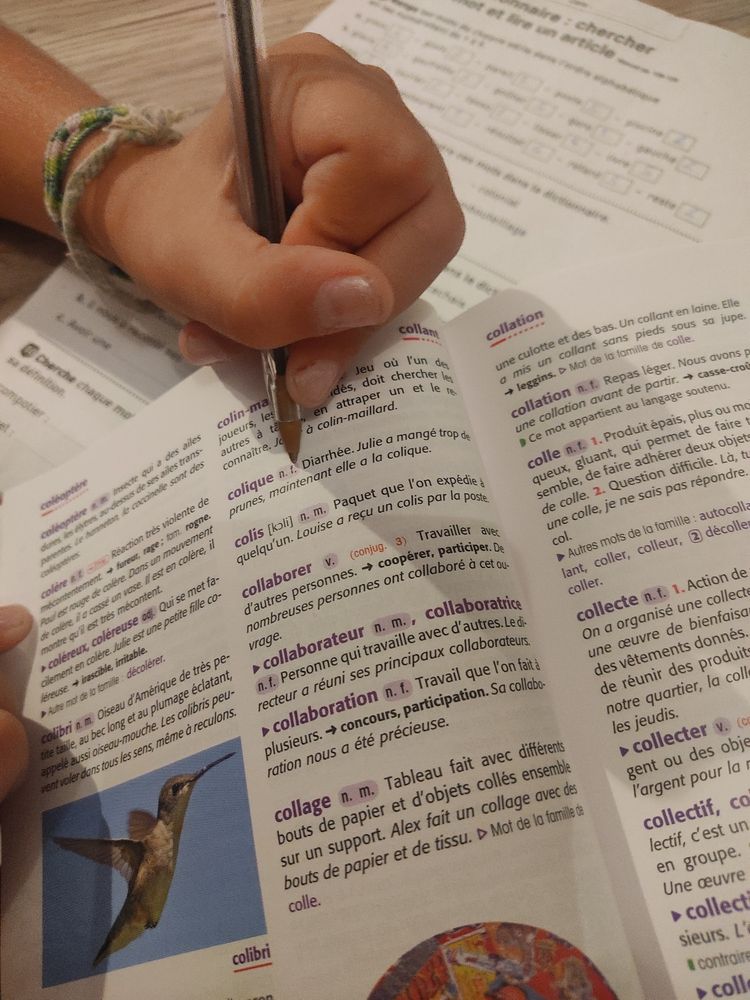 Définition du mot colique et l'exemple comporte le prénom Julie (qui est le mien)