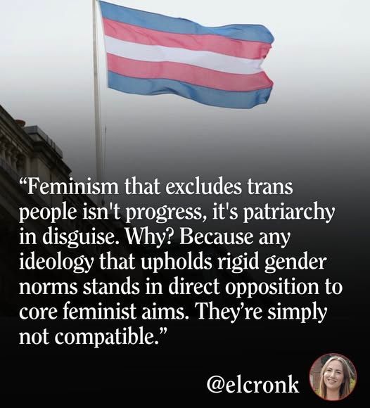 "Feminism that excludes trans people isn't progress, it's patriarchy in disguise. Why? because any ideology that upholds rigid gender norms stands in direct opposition to core feminist aims. They're simply not compatible."
