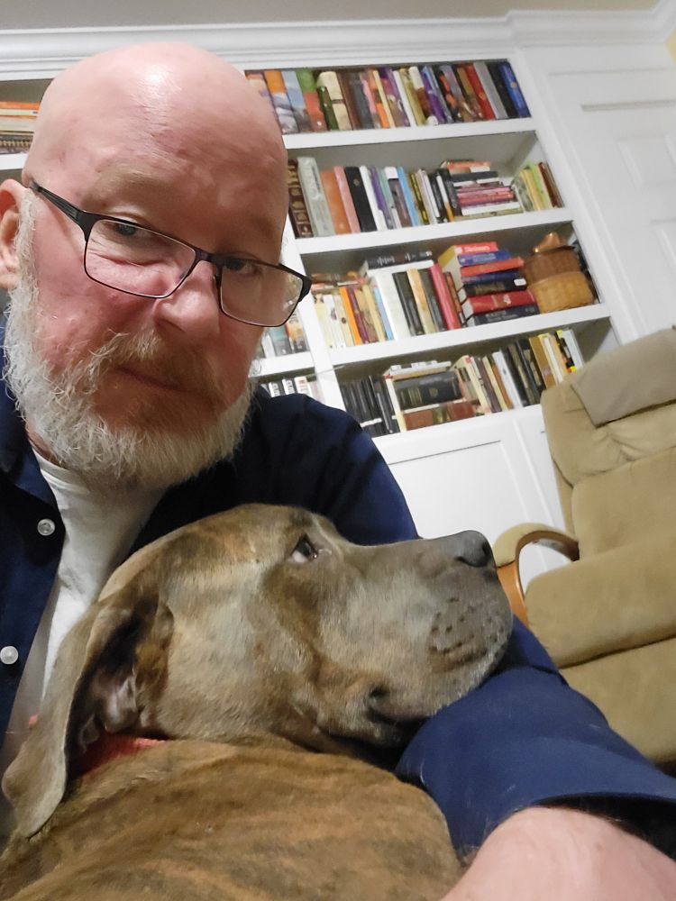 American bully dog with his human.